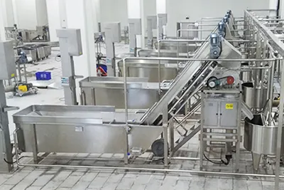 Coconut Beverage Processing Line
