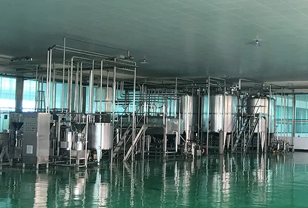 Walnut Beverage Processing Line