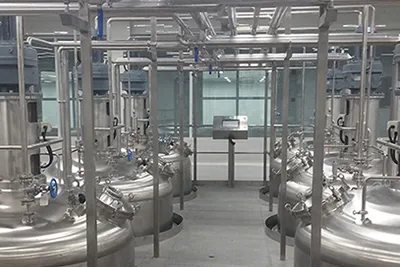 Fermented Fruit and Vegetable Beverage Processing Line