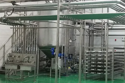Fermented Fruit and Vegetable Beverage Processing Line