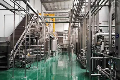 Fruits and Vegetables Processing Line