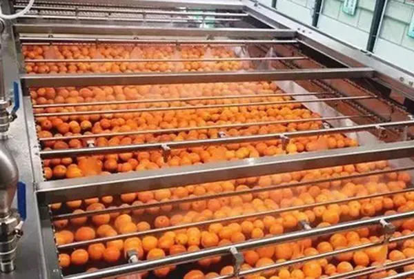 Orange Juice Processing Line