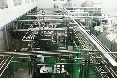 Pomelo Juice Processing Line