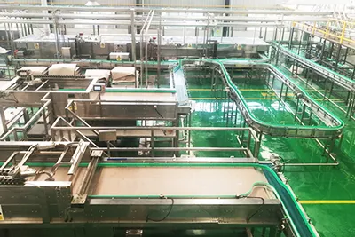 Pomelo Juice Processing Line