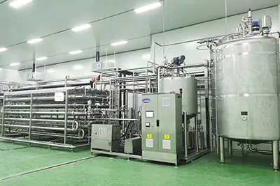 Mango Jam Processing Line
