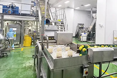 Pear Paste Processing Line