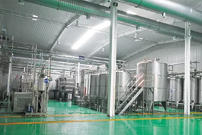 Apple and Pear Processing Line