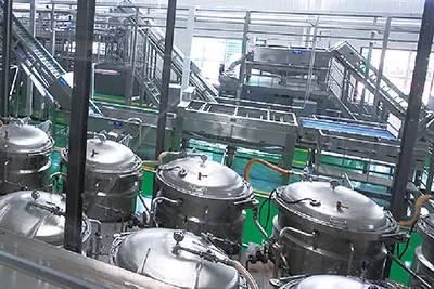 Apple and Pear Processing Line