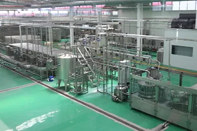 Apple and Pear Processing Line