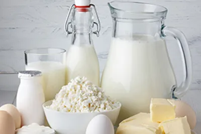 Dairy Production Line