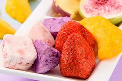 Food Freeze-drying Processing Line