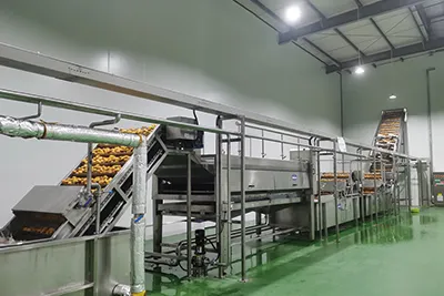 Fruits and Vegetables Processing Line
