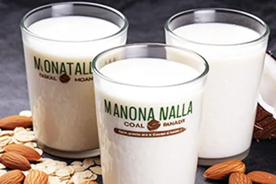 Plant-Based Milk Processing Line