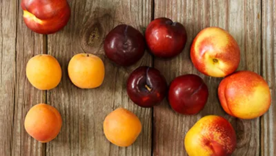 Stone Fruit Processing Line
