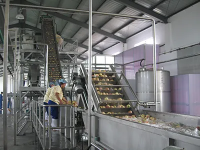 Stone Fruit Processing Line