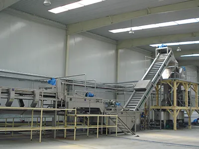 Stone Fruit Processing Line