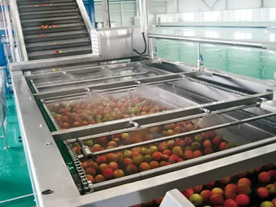 Stone Fruit Processing Line