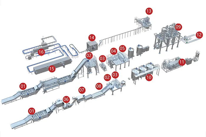 Tomato and Carrot Processing Line
