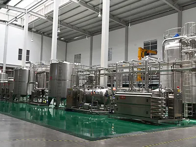 Tropical Fruit Processing Line